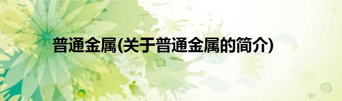 普通金属(关于普通金属的简介)