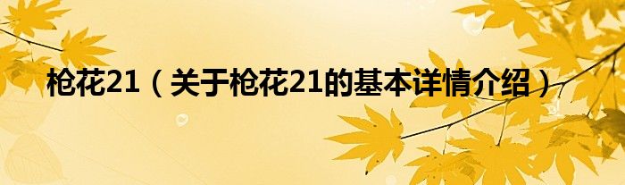 枪花21（关于枪花21的基本详情介绍）