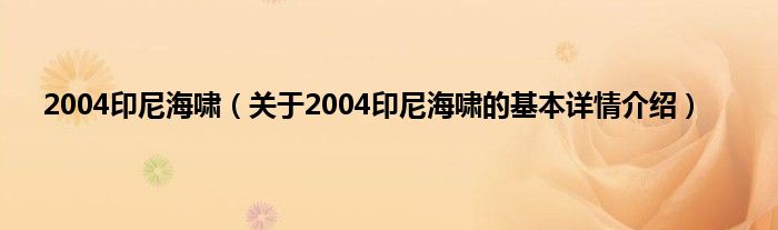 2004印尼海啸（关于2004印尼海啸的基本详情介绍）