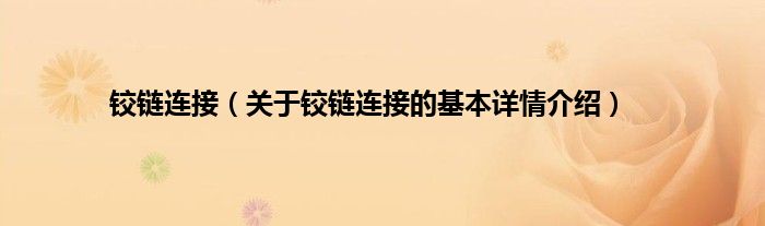 铰链连接（关于铰链连接的基本详情介绍）