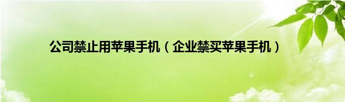 公司禁止用苹果手机（企业禁买苹果手机）