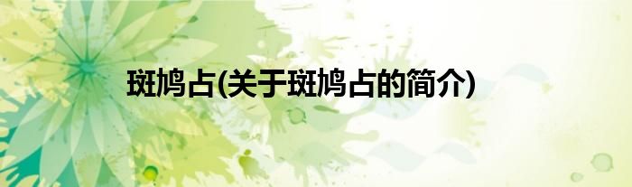 斑鸠占(关于斑鸠占的简介)