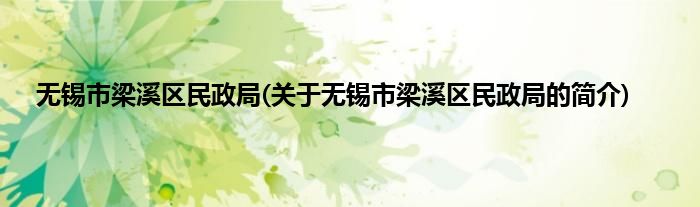 无锡市梁溪区民政局(关于无锡市梁溪区民政局的简介)