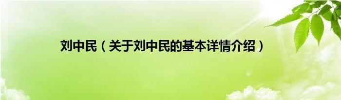 刘中民（关于刘中民的基本详情介绍）