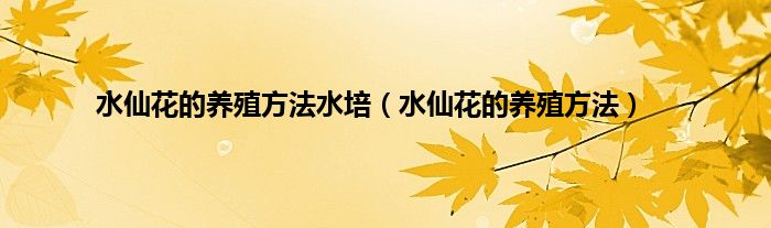 水仙花的养殖方法水培（水仙花的养殖方法）