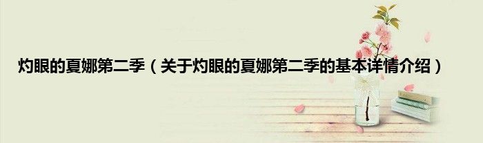 灼眼的夏娜第二季（关于灼眼的夏娜第二季的基本详情介绍）