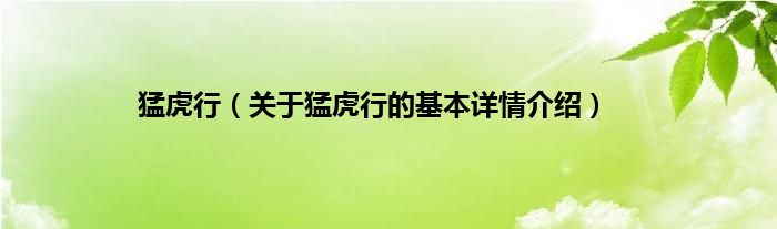 猛虎行（关于猛虎行的基本详情介绍）