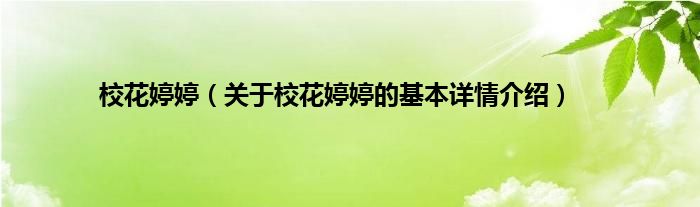 校花婷婷（关于校花婷婷的基本详情介绍）