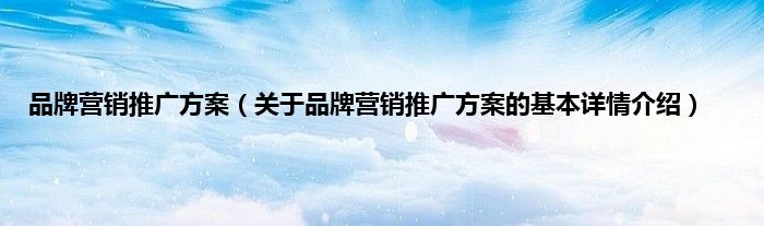 品牌营销推广方案（关于品牌营销推广方案的基本详情介绍）