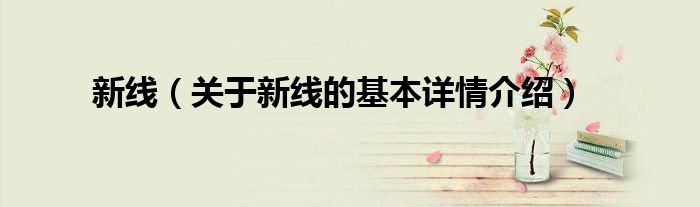 新线（关于新线的基本详情介绍）