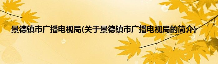 景德镇市广播电视局(关于景德镇市广播电视局的简介)