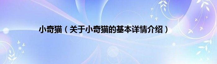 小奇猫（关于小奇猫的基本详情介绍）