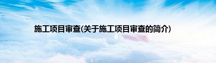 施工项目审查(关于施工项目审查的简介)