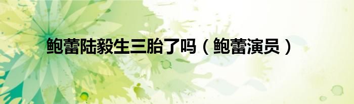 鲍蕾陆毅生三胎了吗（鲍蕾演员）