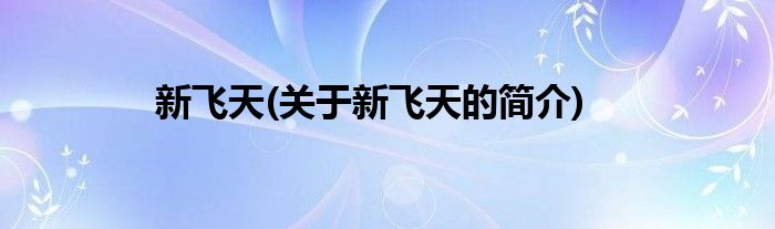 新飞天(关于新飞天的简介)