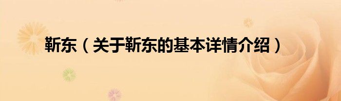 靳东（关于靳东的基本详情介绍）