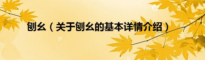 刨幺（关于刨幺的基本详情介绍）
