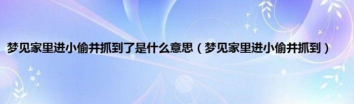 梦见家里进小偷并抓到了是什么意思（梦见家里进小偷并抓到）