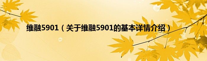 维融5901（关于维融5901的基本详情介绍）