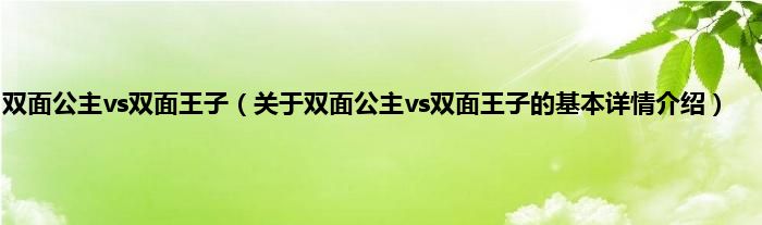 双面公主vs双面王子（关于双面公主vs双面王子的基本详情介绍）