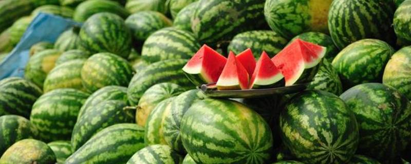 不打开西瓜怎么判断已经熟了