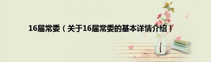 16届常委（关于16届常委的基本详情介绍）