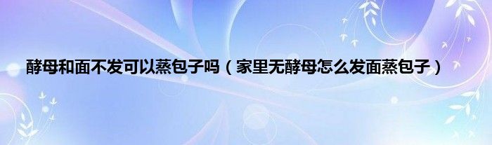 酵母和面不发可以蒸包子吗（家里无酵母怎么发面蒸包子）