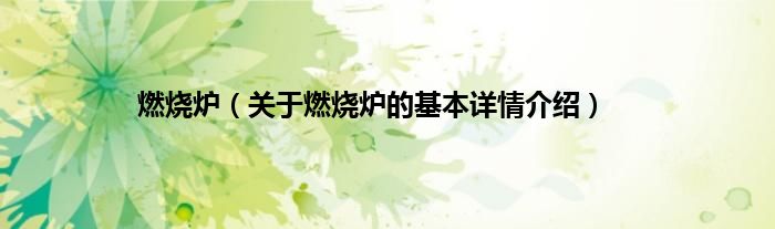 燃烧炉（关于燃烧炉的基本详情介绍）