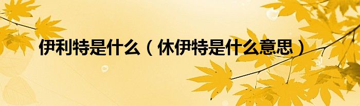 伊利特是什么（休伊特是什么意思）