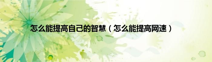 怎么能提高自己的智慧（怎么能提高网速）