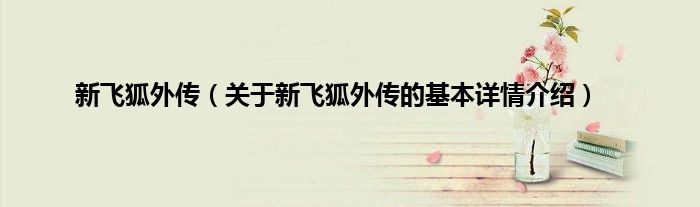 新飞狐外传（关于新飞狐外传的基本详情介绍）