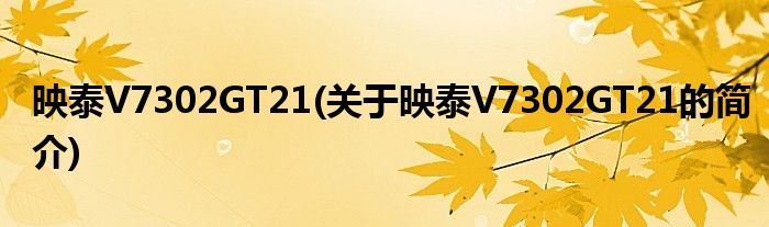 映泰V7302GT21(关于映泰V7302GT21的简介)