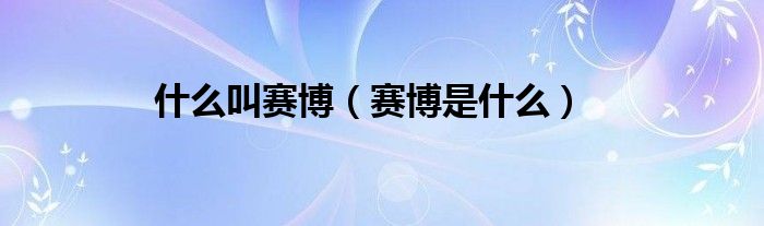 什么叫赛博（赛博是什么）
