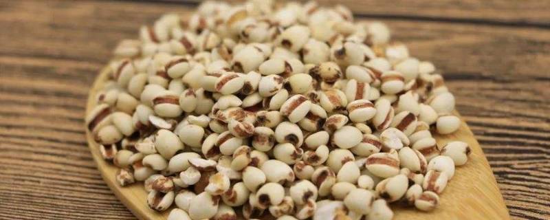 薏米的功效与作用