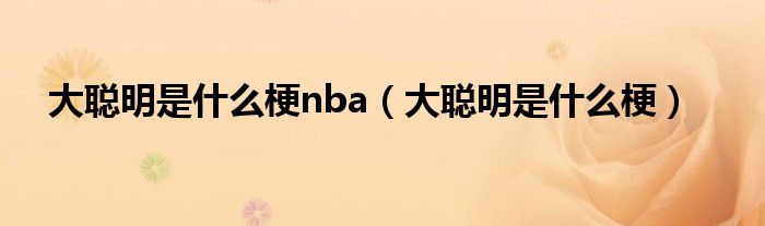 大聪明是什么梗nba（大聪明是什么梗）