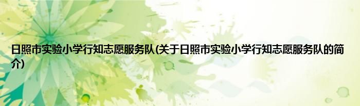 日照市实验小学行知志愿服务队(关于日照市实验小学行知志愿服务队的简介)
