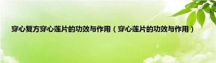 穿心复方穿心莲片的功效与作用（穿心莲片的功效与作用）