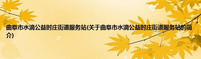曲阜市水滴公益时庄街道服务站(关于曲阜市水滴公益时庄街道服务站的简介)