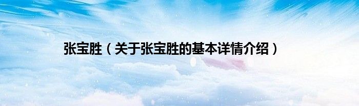 张宝胜（关于张宝胜的基本详情介绍）