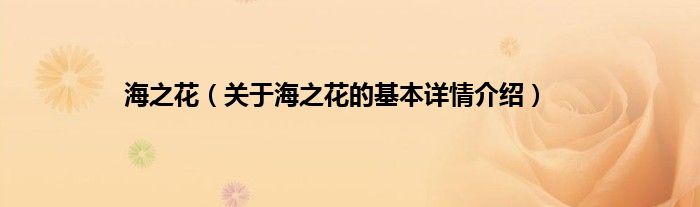 海之花（关于海之花的基本详情介绍）