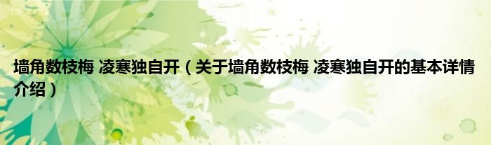墙角数枝梅 凌寒独自开（关于墙角数枝梅 凌寒独自开的基本详情介绍）