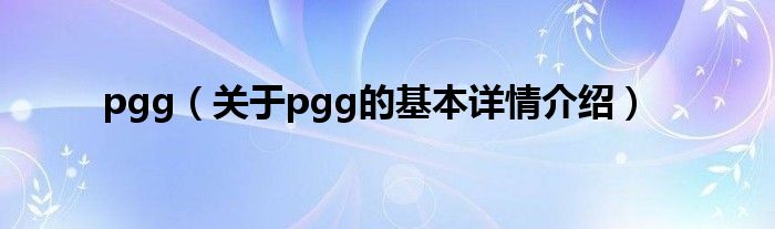pgg（关于pgg的基本详情介绍）