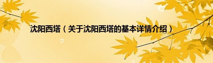 沈阳西塔（关于沈阳西塔的基本详情介绍）