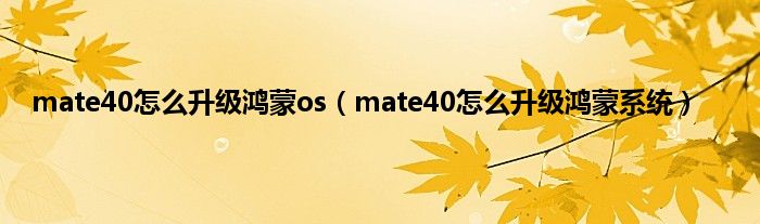 mate40怎么升级鸿蒙os（mate40怎么升级鸿蒙系统）