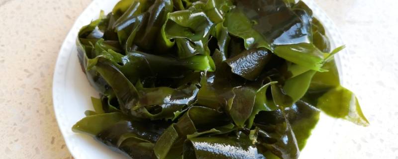 海带的功效与作用