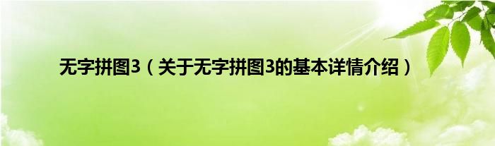无字拼图3（关于无字拼图3的基本详情介绍）