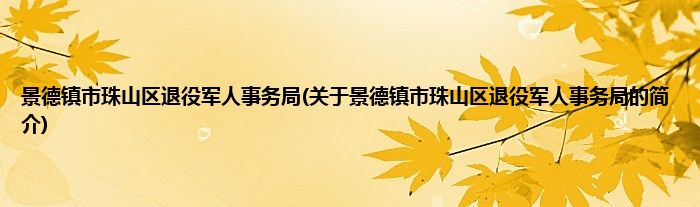 景德镇市珠山区退役军人事务局(关于景德镇市珠山区退役军人事务局的简介)