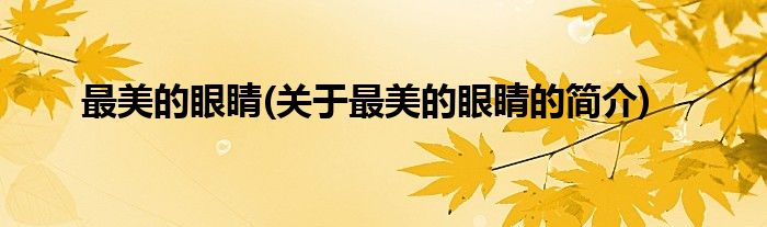 最美的眼睛(关于最美的眼睛的简介)