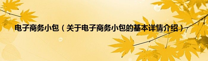 电子商务小包（关于电子商务小包的基本详情介绍）