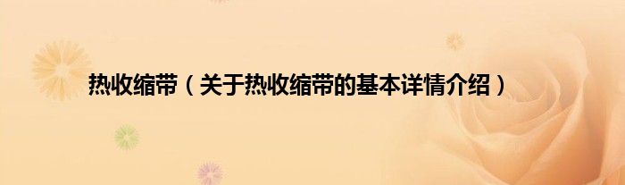 热收缩带（关于热收缩带的基本详情介绍）